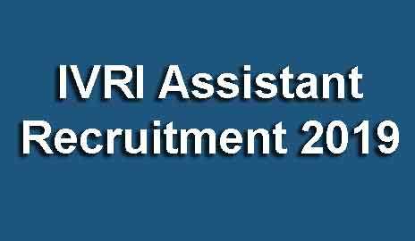 IVRI Assistant Recruitment 2019