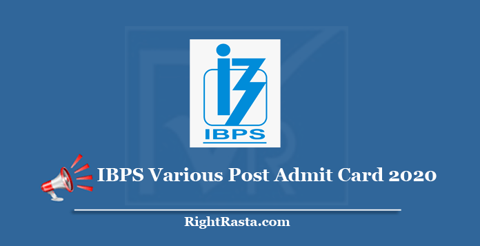 IBPS Various Post Admit Card