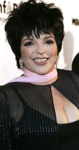 Liza Minnelli Biography, Wiki