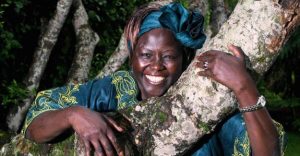 Wangari Maathai Biography