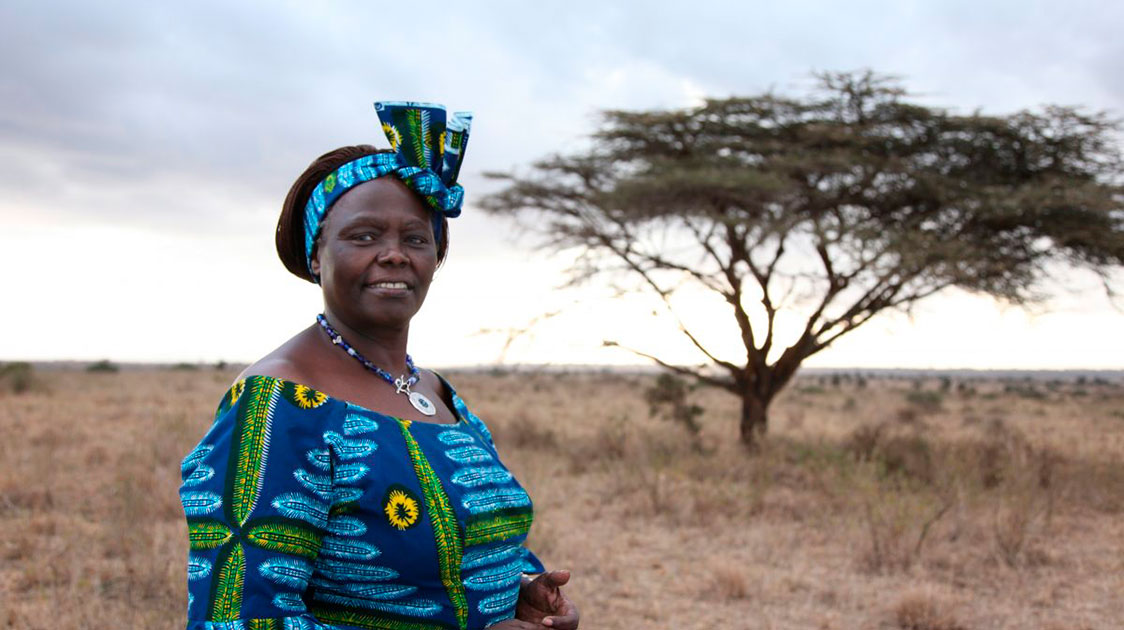 Wangari Maathai net-worth, Kenya – Nobel Laureate and Environmentalist