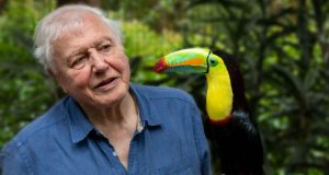 David Attenborough Wiki, Biography